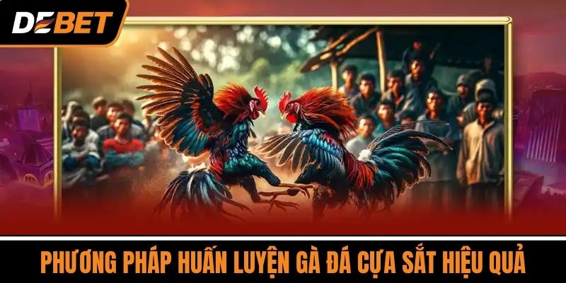 Đá Gà Cựa Sắt - Giải Thích Chi Tiết Cách Chơi Mới Nhất 2025 4 Phương Pháp Huấn Luyện Gà Đá Cựa Sắt Hiệu Quả
