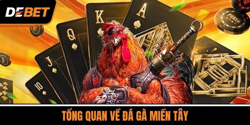 Đá Gà Miền Tây - Sân Chơi Đá Gà Online Số 1 Việt Nam 2 Tổng Quan Về Đá Gà Miền Tây
