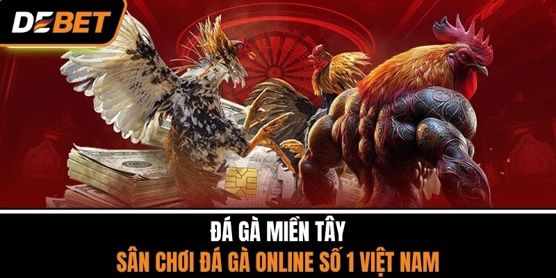 Đá Gà Miền Tây - Sân Chơi Đá Gà Online Số 1 Việt Nam 1 Đá Gà Miền Tây - Sân Chơi Đá Gà Online Số 1 Việt Nam